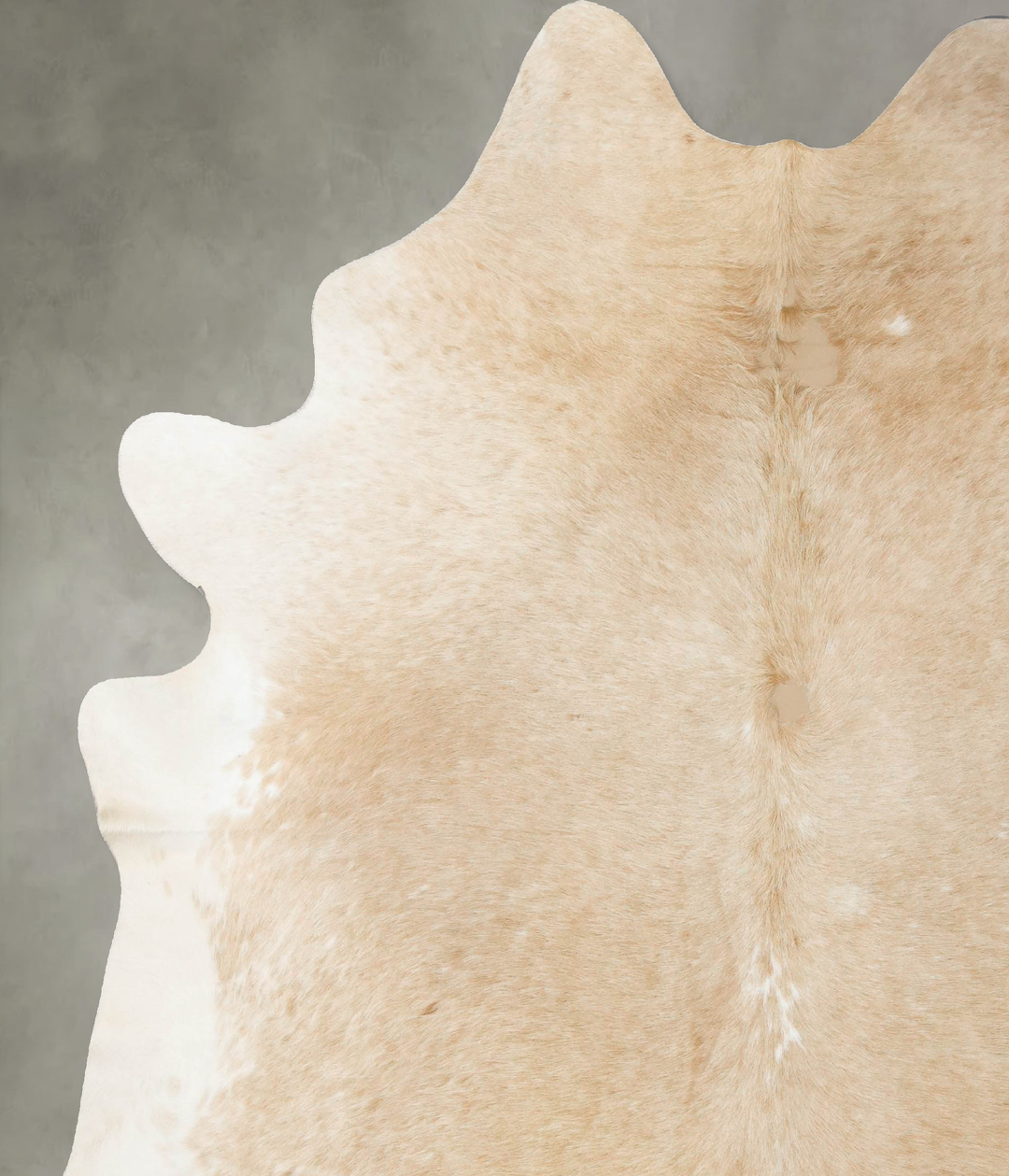 Palomino XX-Large Brazilian Cowhide Rug 8'5"H x 7'2"W #B24900 by Hudso