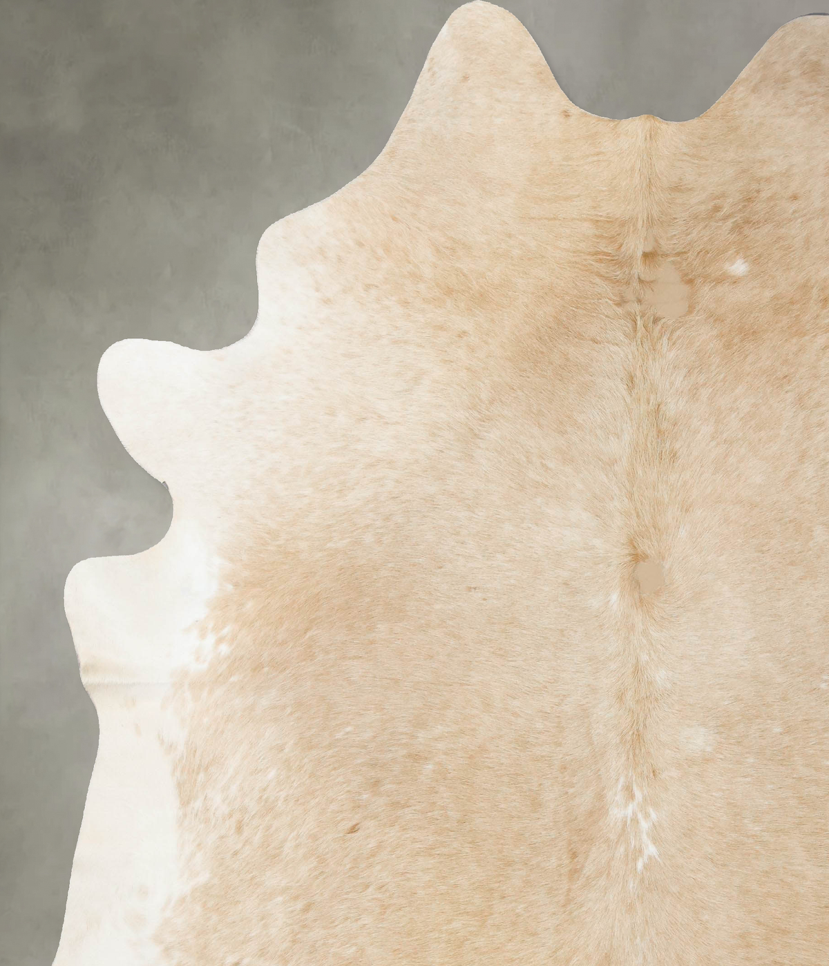 Palomino Cowhide Rug #B24900
