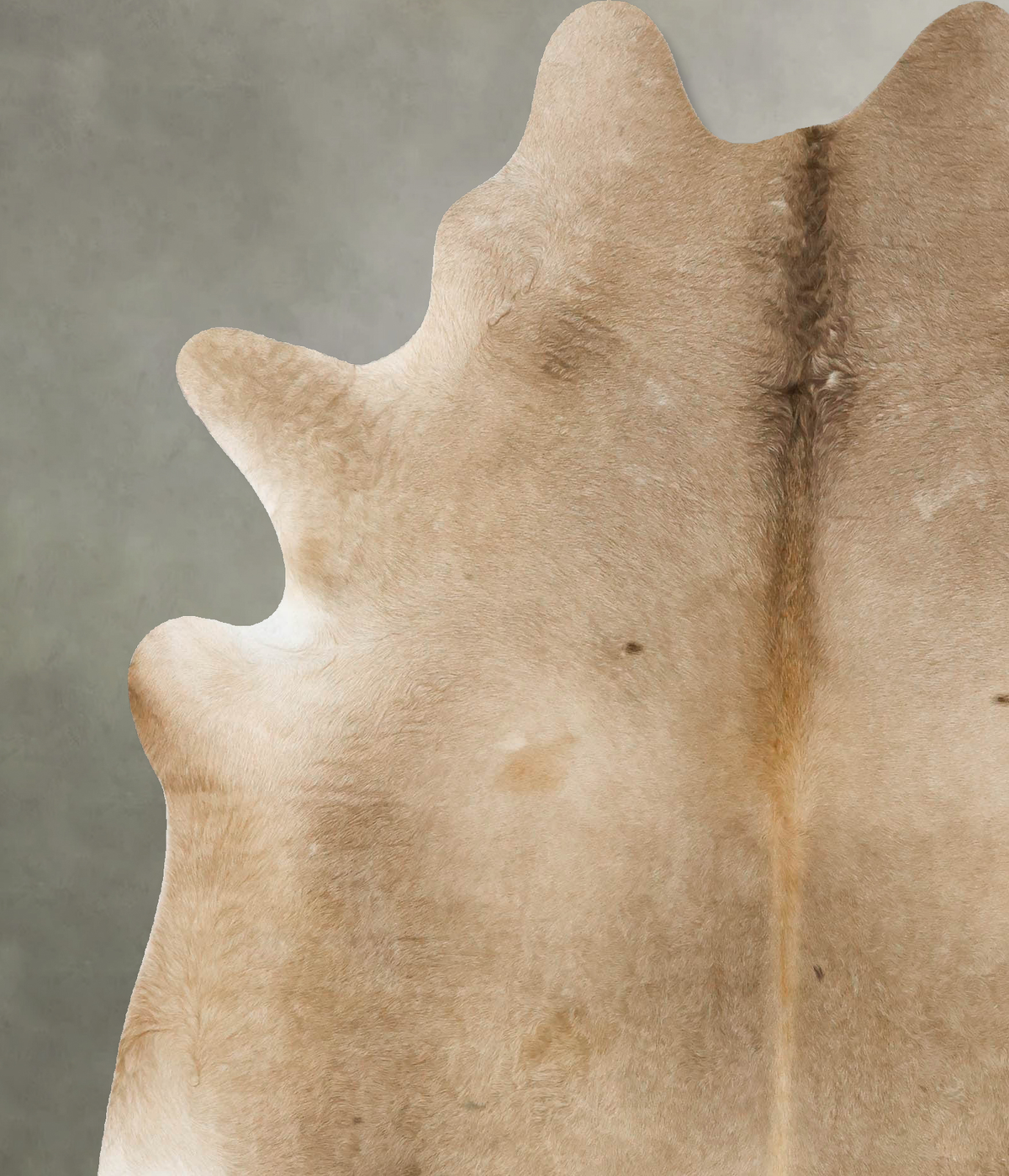 Taupe X-Large Brazilian Cowhide Rug 7'3"H x 6'3"W #B24912 by Hudson Hides