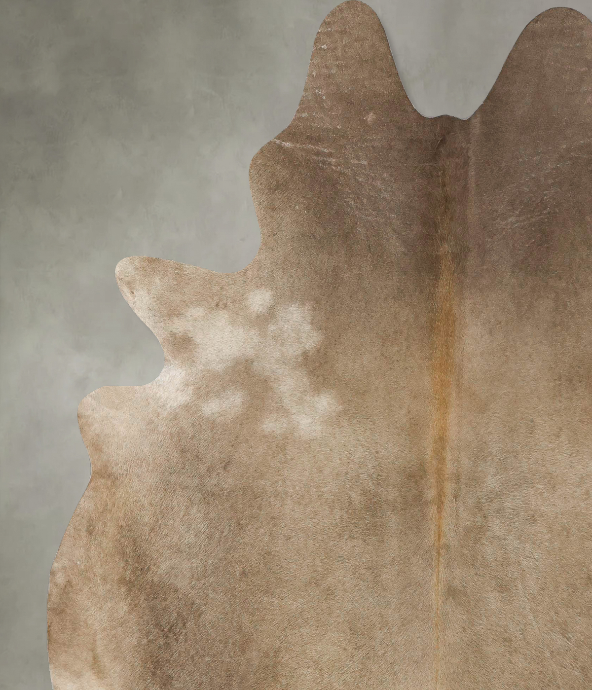 Taupe X-Large Brazilian Cowhide Rug 7'4"H x 6'7"W #B24913 by Hudson Hides