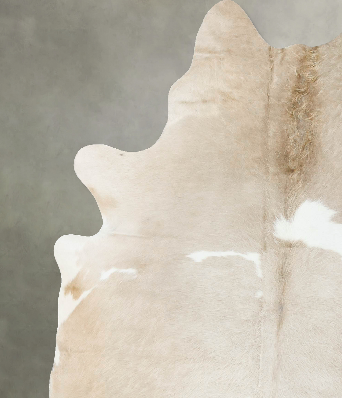 Taupe X-Large Brazilian Cowhide Rug 7'4"H x 5'10"W #B24914 by Hudson Hides