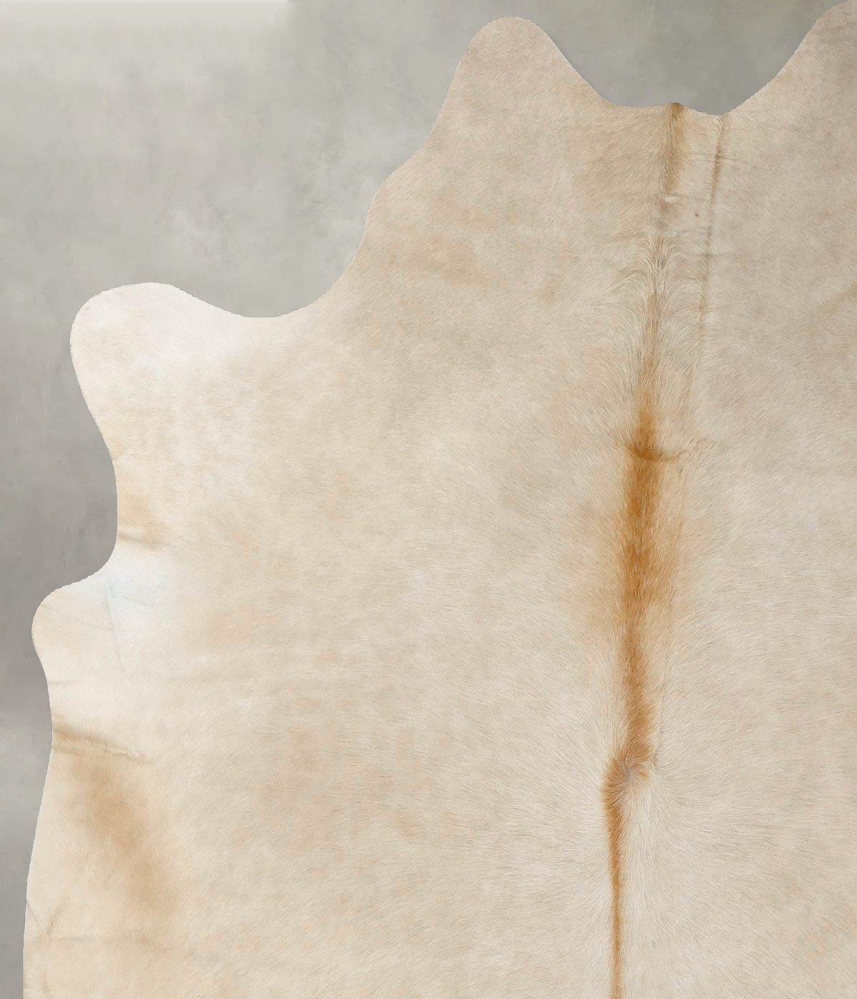 Taupe X-Large Brazilian Cowhide Rug 7'0"H x 6'3"W #B24915 by Hudson Hides