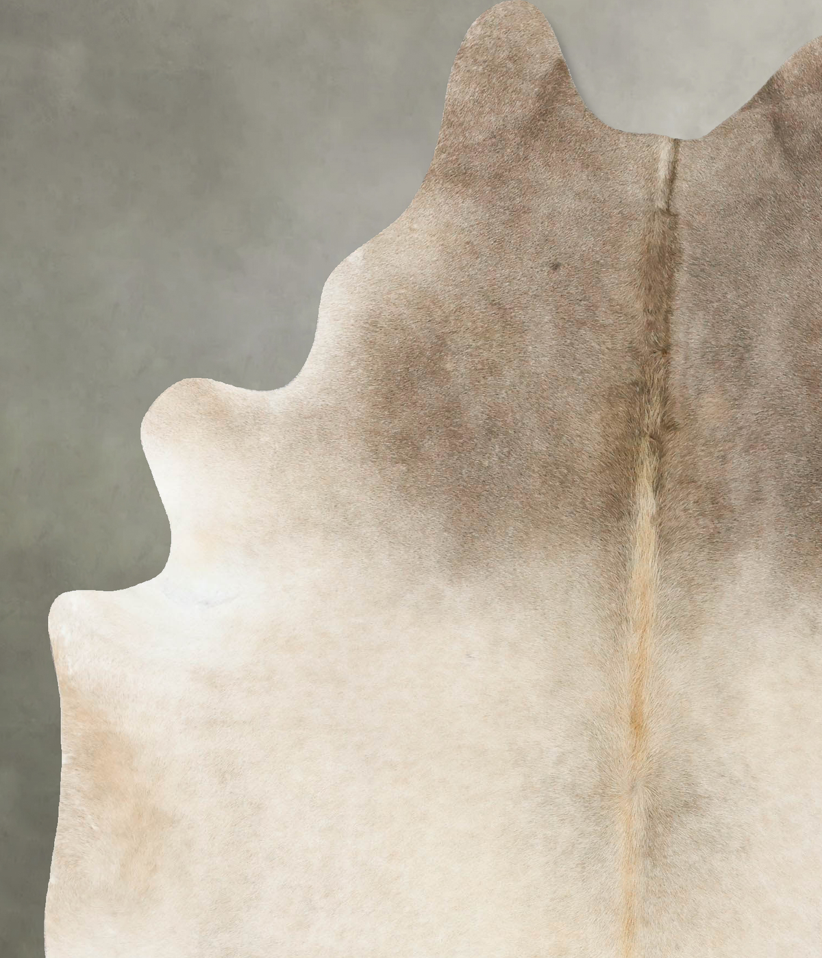 Champagne Cowhide Rug #B24916