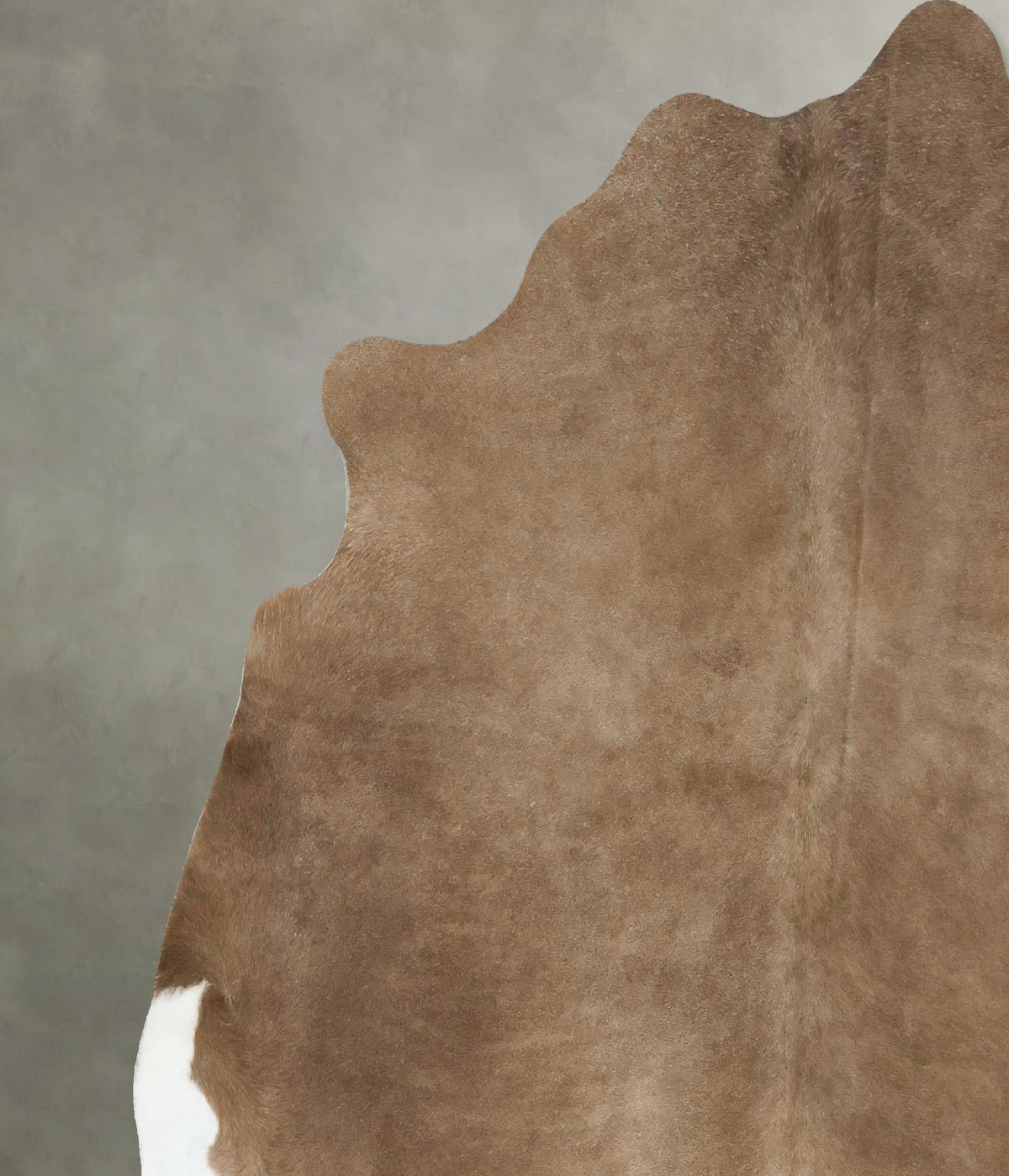 Taupe Large Brazilian Cowhide Rug 6'1"H x 6'3"W #B24917 by Hudson Hides