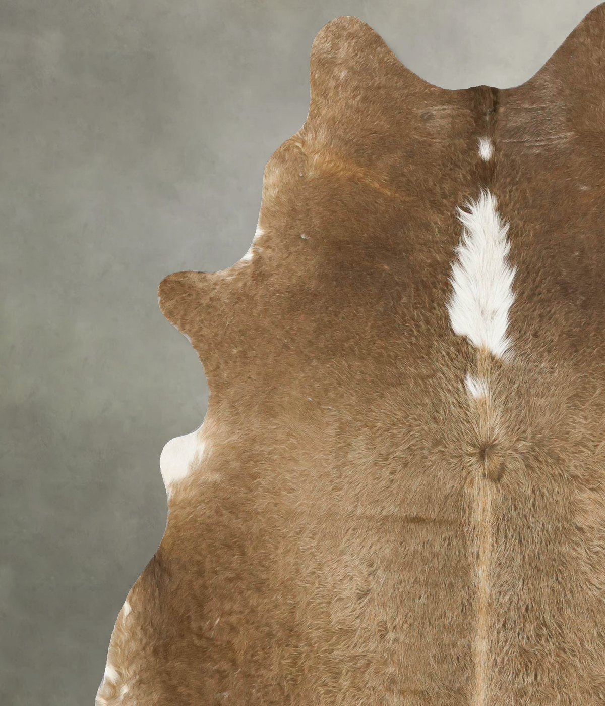 Taupe X-Large Brazilian Cowhide Rug 7'2"H x 6'2"W #B24936 by Hudson Hides