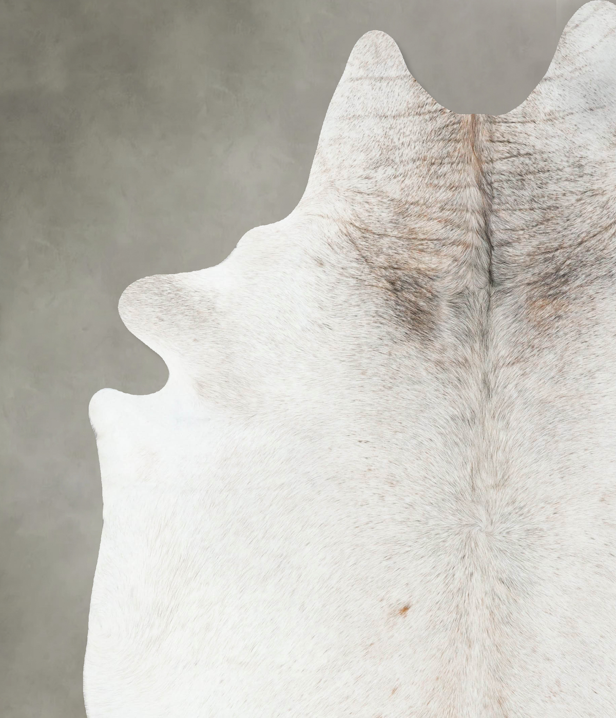 Ivory with Beige XX-Large Brazilian Cowhide Rug 8'10"H x 7'2"W #B24940 by Hudson Hides