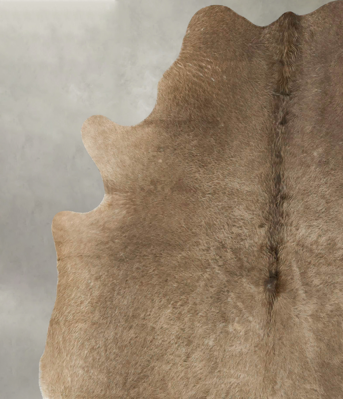 Taupe X-Large Brazilian Cowhide Rug 7'4"H x 6'2"W #B24950 by Hudson Hides