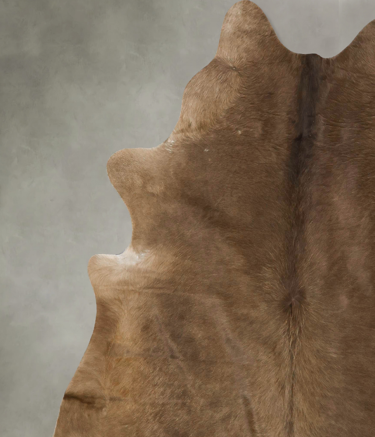 Taupe XX-Large Brazilian Cowhide Rug 7'5"H x 6'9"W #B24951 by Hudson Hides