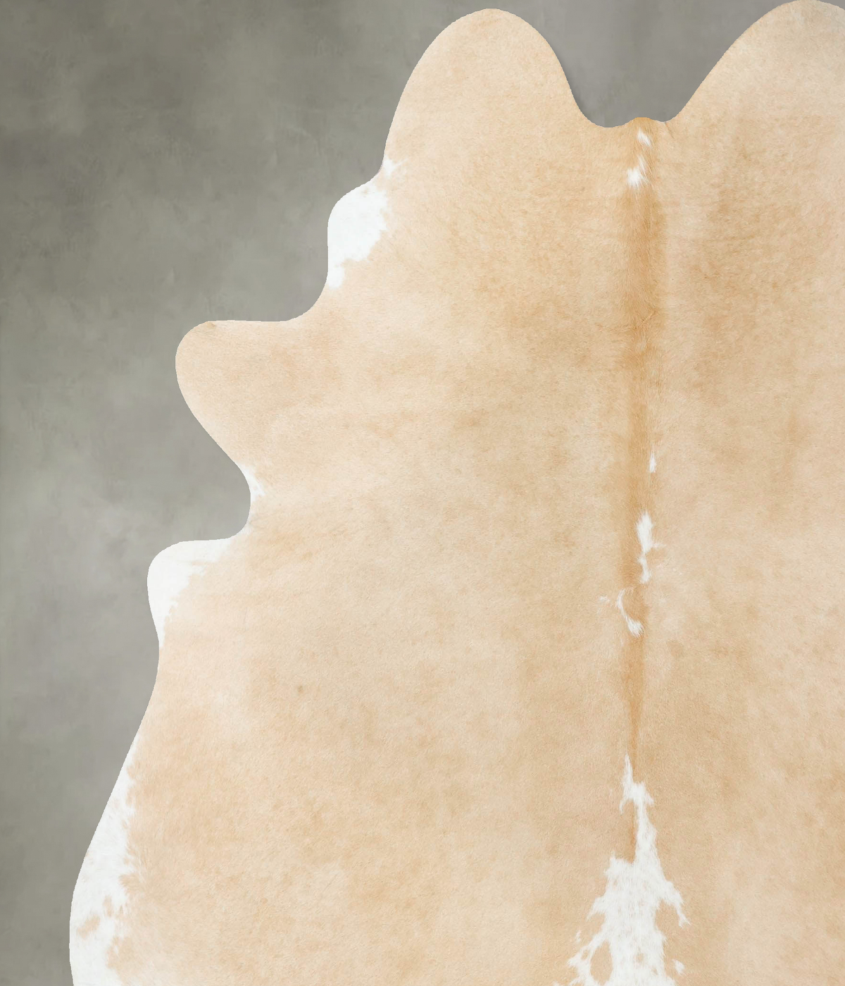 Beige and White XX-Large Brazilian Cowhide Rug 8'2"H x 7'0"W #B24964 by Hudson Hides