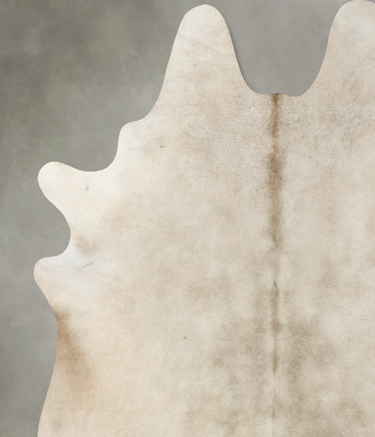 Champagne X-Large Brazilian Cowhide Rug 7'2"H x 6'2"W #B24975 by Hudson Hides