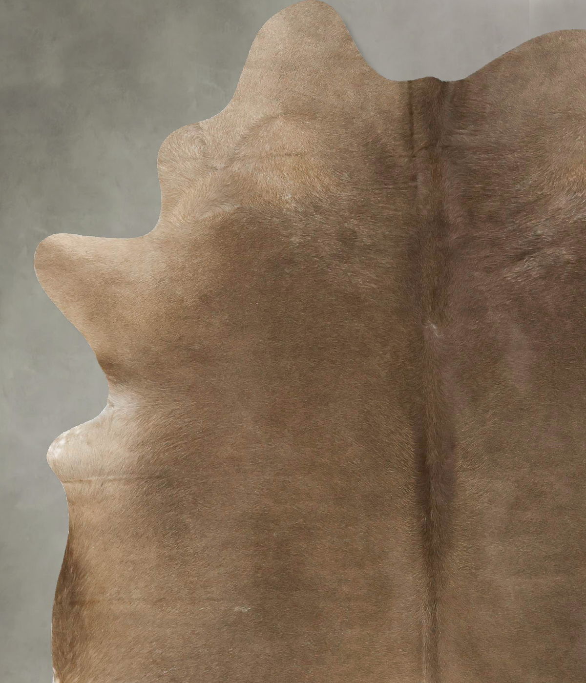 Taupe X-Large Brazilian Cowhide Rug 7'10"H x 5'8"W #B24976 by Hudson Hides