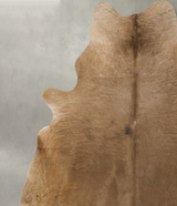 Taupe X-Large Brazilian Cowhide Rug 7'2"H x 6'5"W #B24977 by Hudson Hides