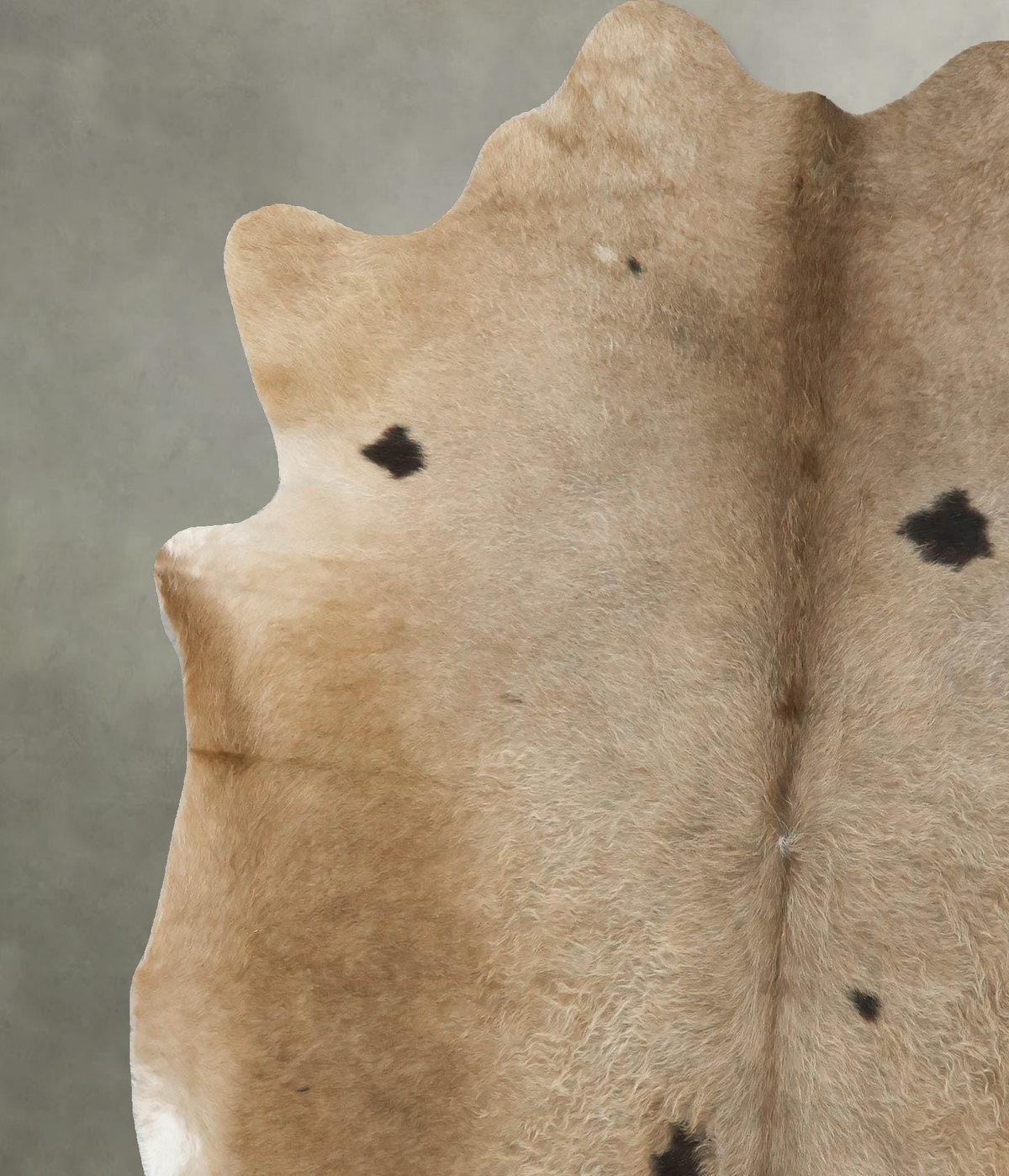 Taupe X-Large Brazilian Cowhide Rug 6'8"H x 6'4"W #B24982 by Hudson Hides