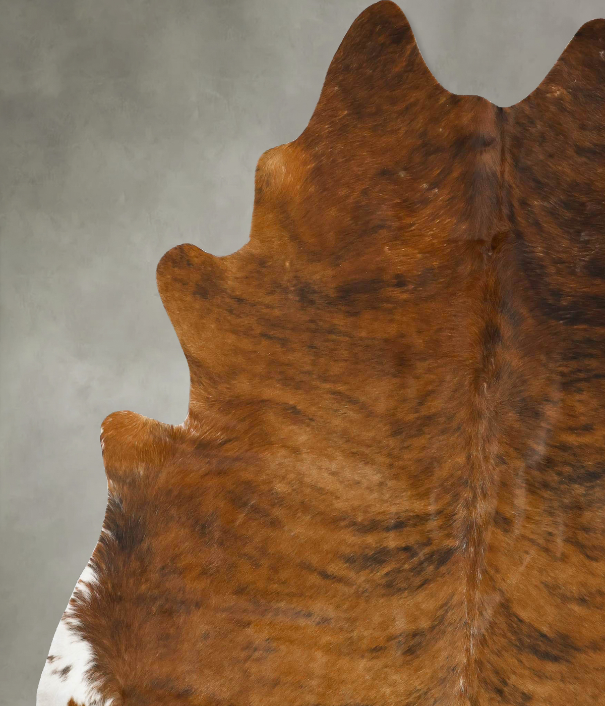 Medium Brindle XX-Large Brazilian Cowhide Rug 7'11"H x 6'11"W #B25006 by Hudson Hides