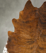 Medium Brindle XX-Large Brazilian Cowhide Rug 7'11"H x 6'11"W #B25006 by Hudson Hides