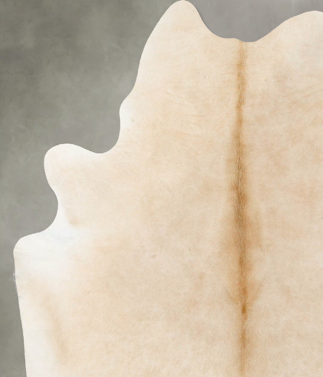 Palomino X-Large Brazilian Cowhide Rug 7'6"H x 6'2"W #B25022 by Hudson