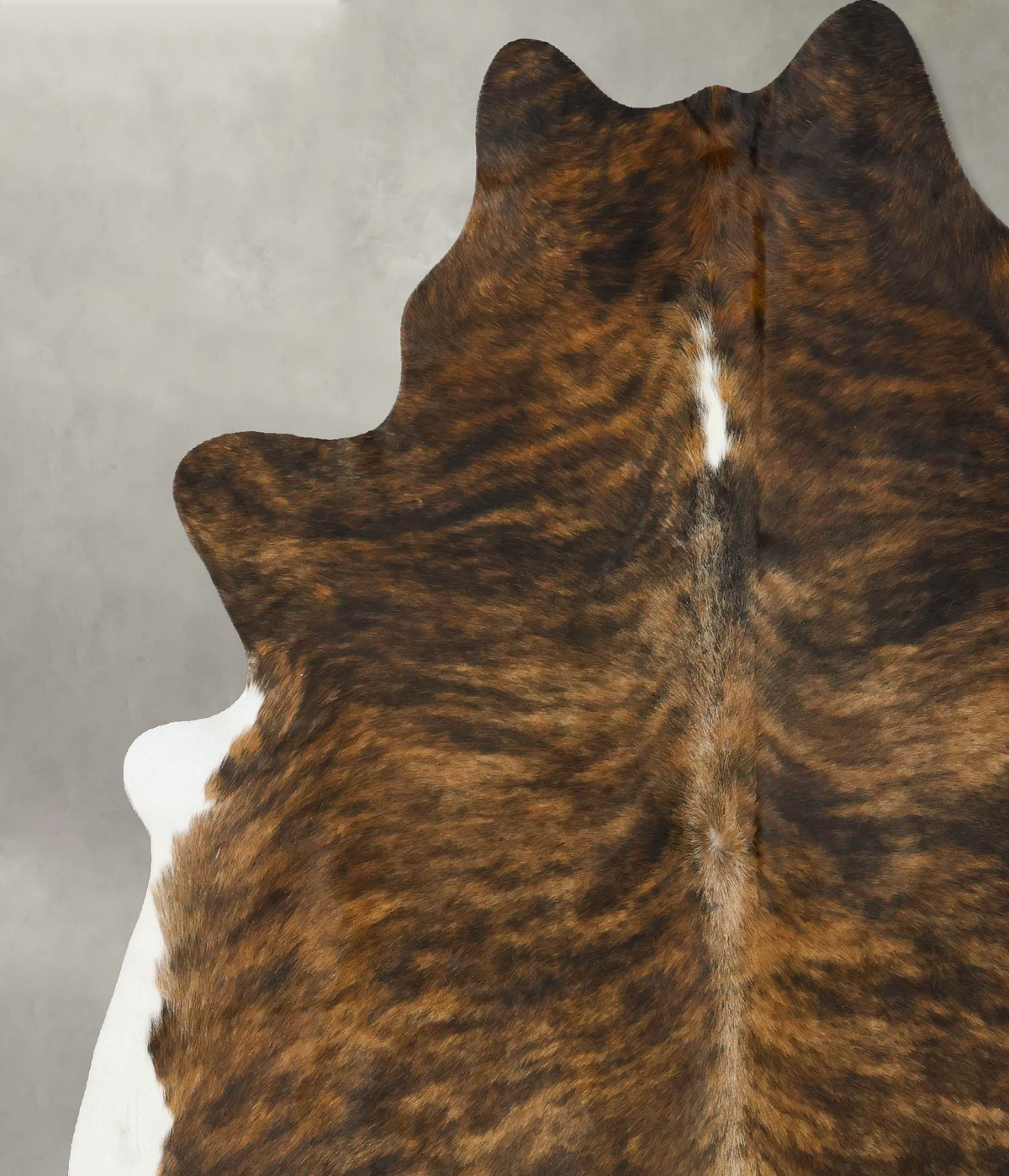 Medium Brindle XX-Large Brazilian Cowhide Rug 7'10"H x 6'9"W #B25027 by Hudson Hides