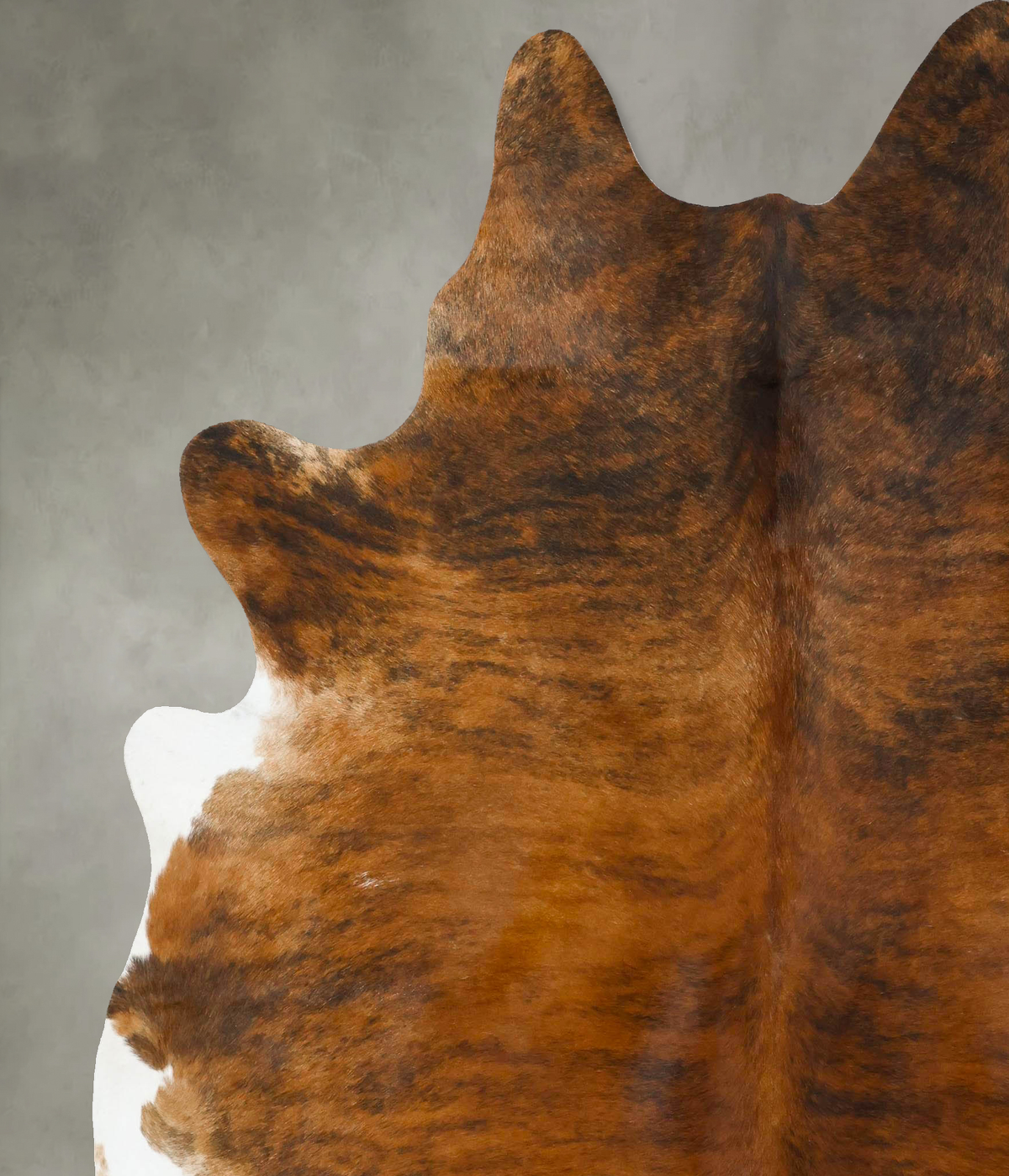 Medium Brindle XX-Large Brazilian Cowhide Rug 8'0"H x 6'10"W #B25029 by Hudson Hides