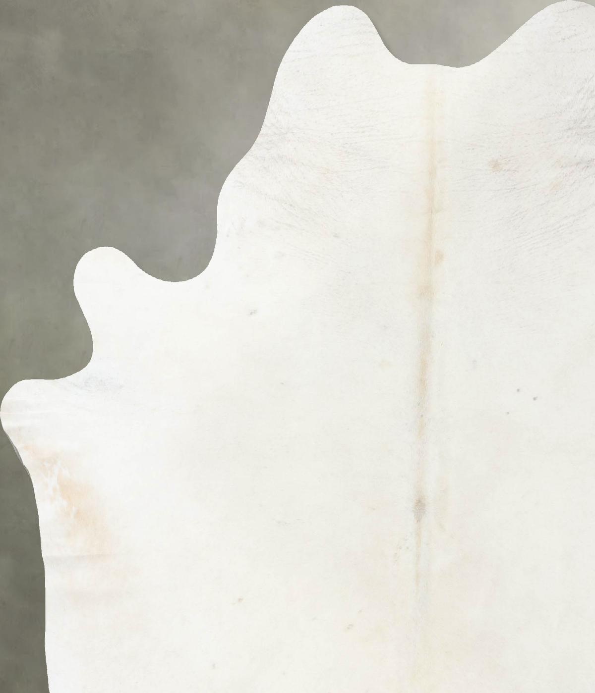 Ivory with Beige XX-Large Brazilian Cowhide Rug 8'0"H x 6'8"W #B25035 by Hudson Hides