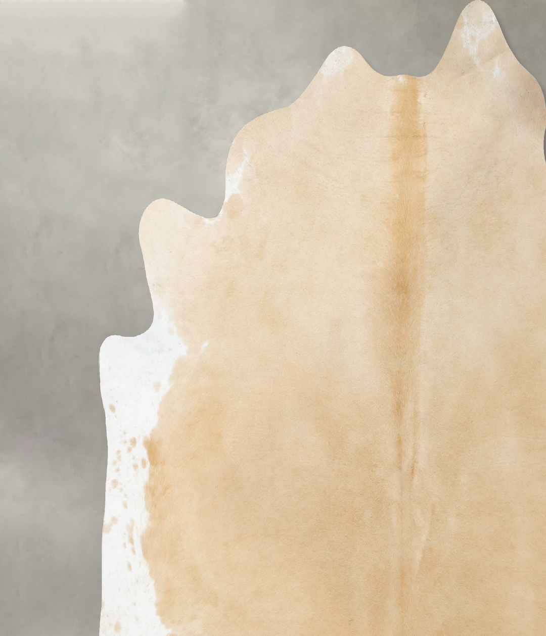 Palomino XX-Large Brazilian Cowhide Rug 8'9"H x 8'2"W #B25040 by Hudso