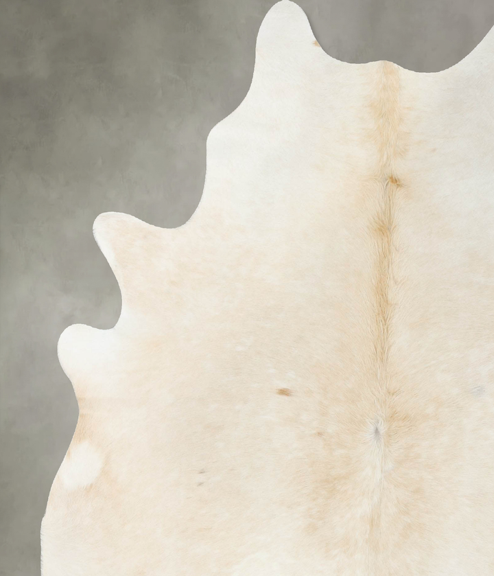 Palomino X-Large Brazilian Cowhide Rug 7'6"H x 6'3"W #B25046 by Hudson Hides