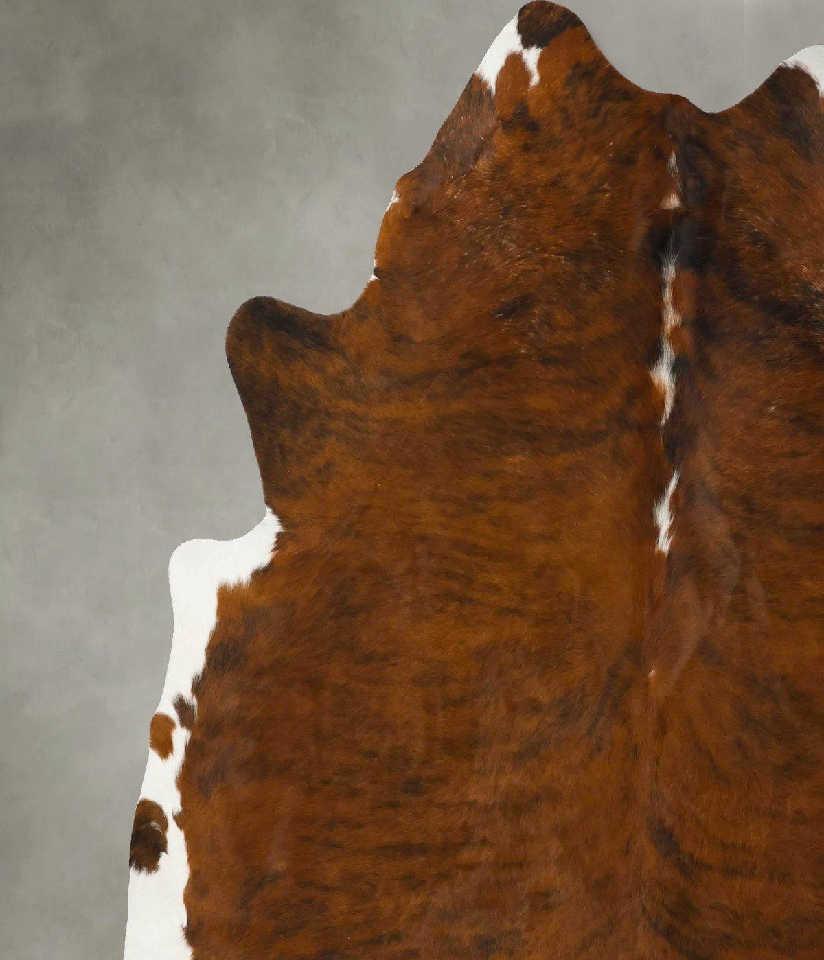 Medium Brindle XX-Large Brazilian Cowhide Rug 7'10"H x 7'2"W #B25050 by Hudson Hides