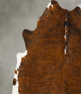 Medium Brindle XX-Large Brazilian Cowhide Rug 7'10"H x 7'2"W #B25050 by Hudson Hides