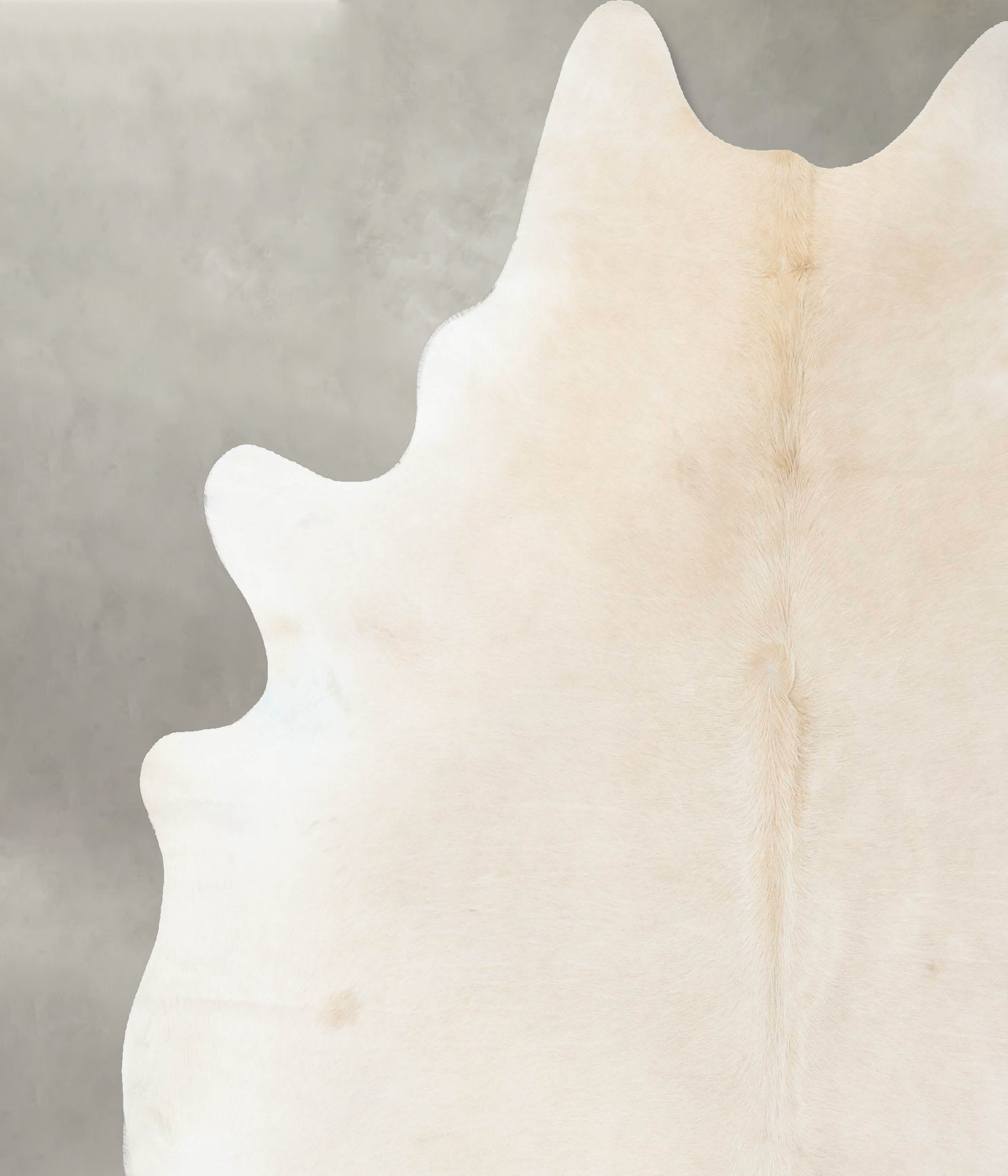 Ivory with Beige XX-Large Brazilian Cowhide Rug 8'1"H x 7'1"W #B25053 by Hudson Hides