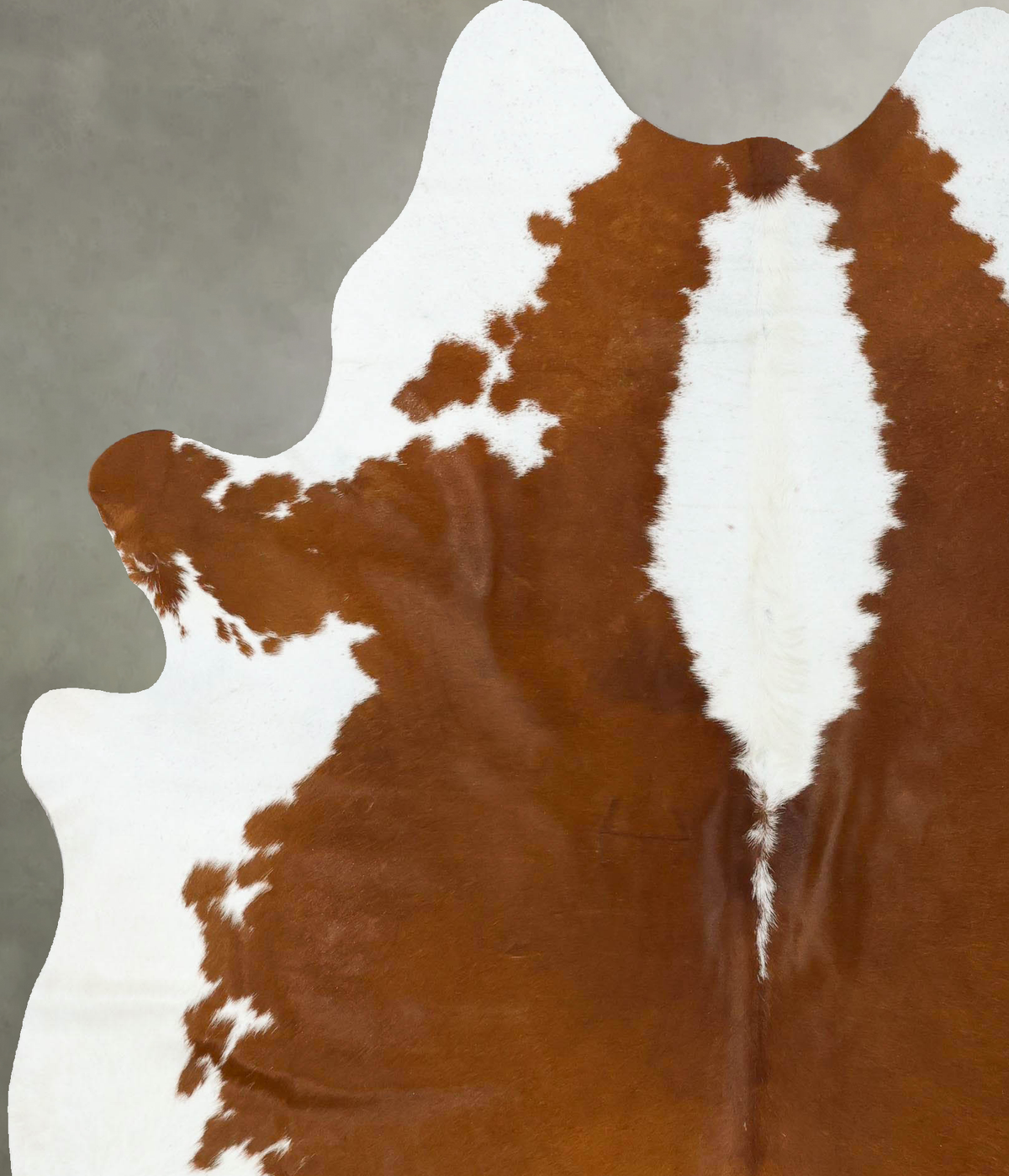 Brown and White Regular XX-Large Brazilian Cowhide Rug 7'11"H x 6'4"W #B25055 by Hudson Hides