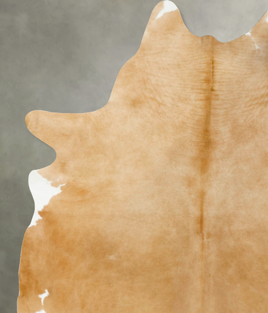 Palomino XX-Large Brazilian Cowhide Rug 8'10"H x 7'1"W #B25079 by Huds