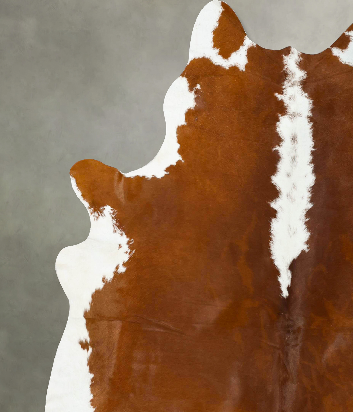 Hereford XX-Large Brazilian Cowhide Rug 8'4"H x 7'3"W #B25086 by Hudson Hides