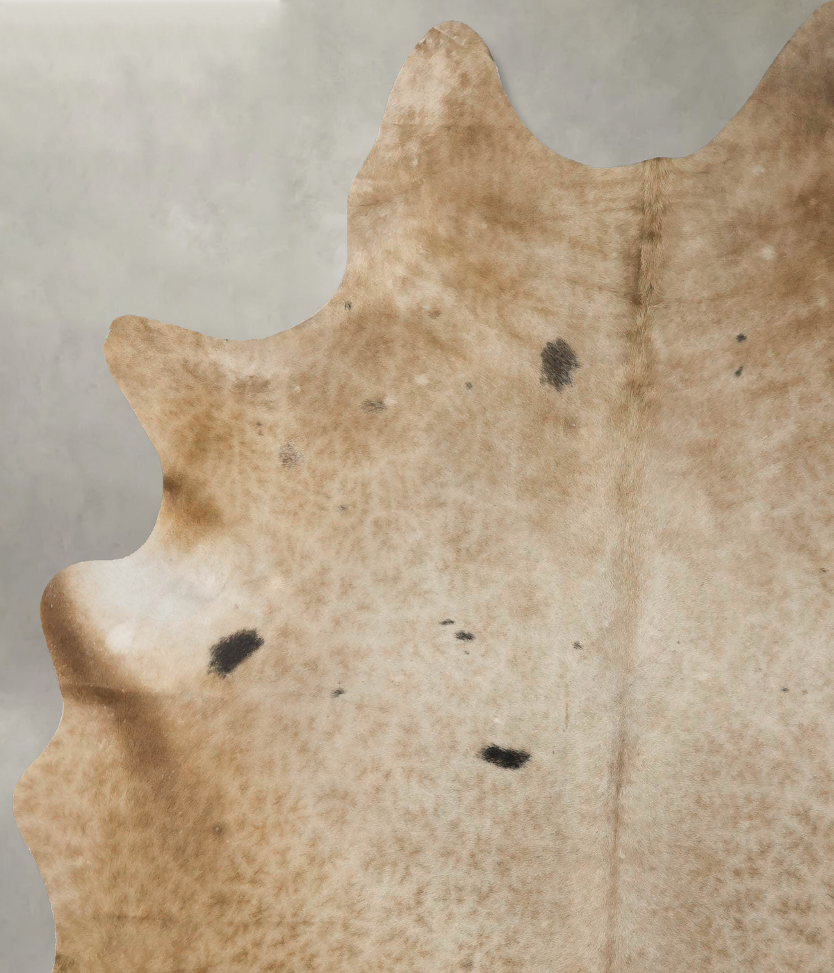 Champagne Cowhide Rug #B25098