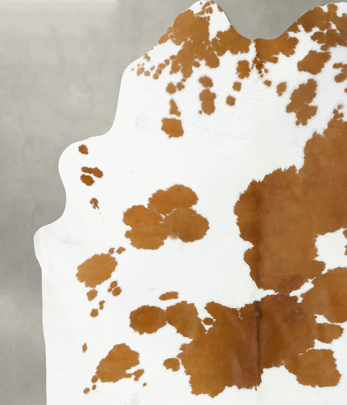 Brown and White XX-Large Brazilian Cowhide Rug 8'6"H x 7'0"W #B25101 by Hudson Hides