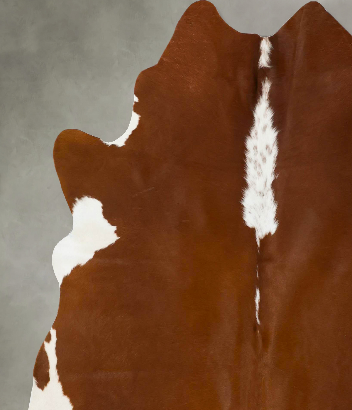 Hereford X-Large Brazilian Cowhide Rug 6'4"H x 6'5"W #B25158 by Hudson Hides