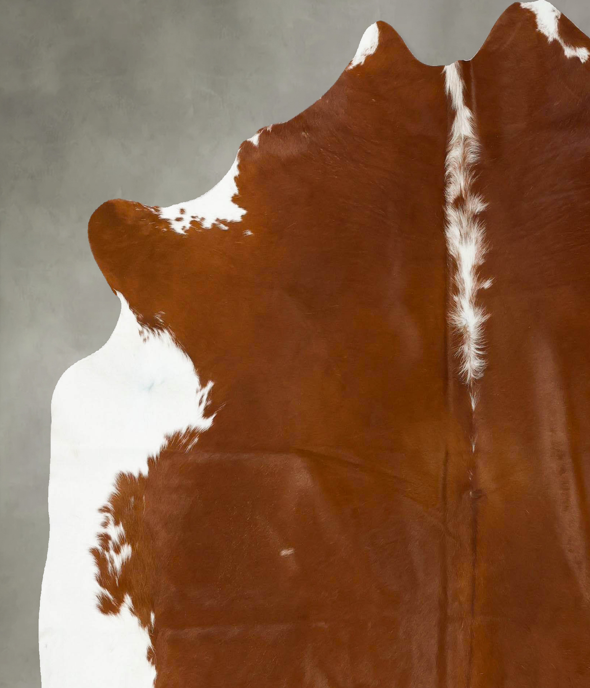Hereford X-Large Brazilian Cowhide Rug 6'7"H x 6'4"W #B25159 by Hudson Hides