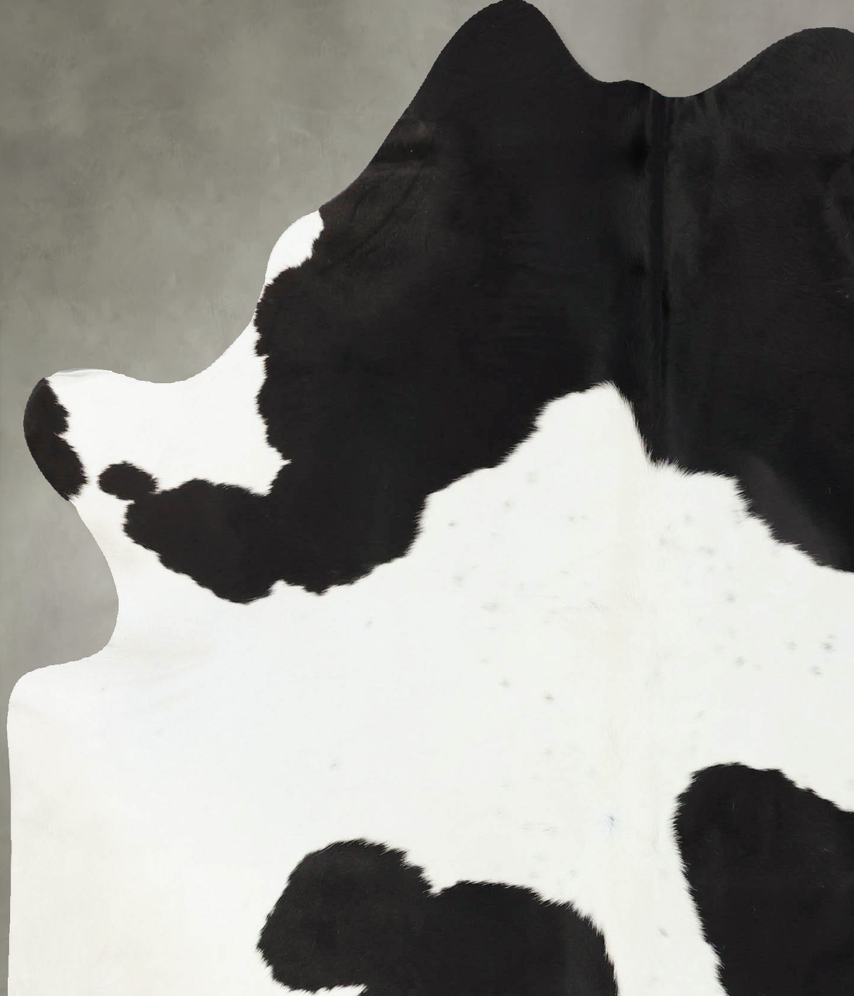 Black and White Large Brazilian Cowhide Rug 6'5"H x 5'7"W #B25180 by Hudson Hides