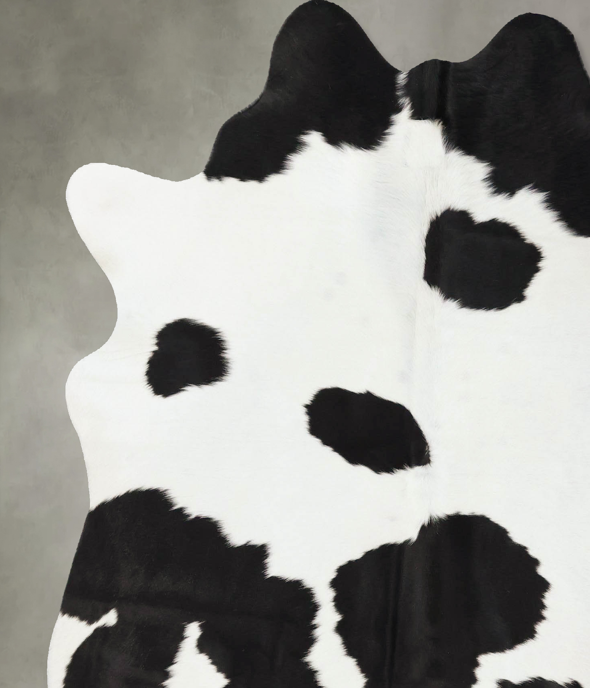 Black and White Large Brazilian Cowhide Rug 6'7"H x 5'9"W #B25182 by Hudson Hides