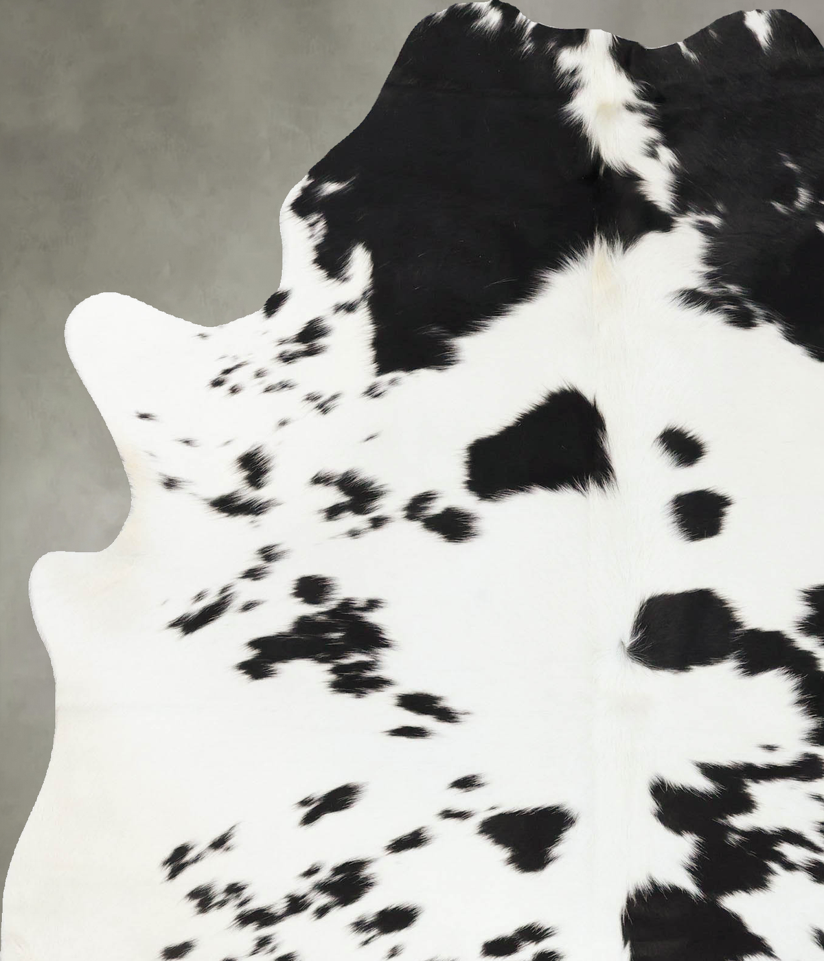 Black and White Large Brazilian Cowhide Rug 6'10"H x 5'4"W #B25183 by Hudson Hides