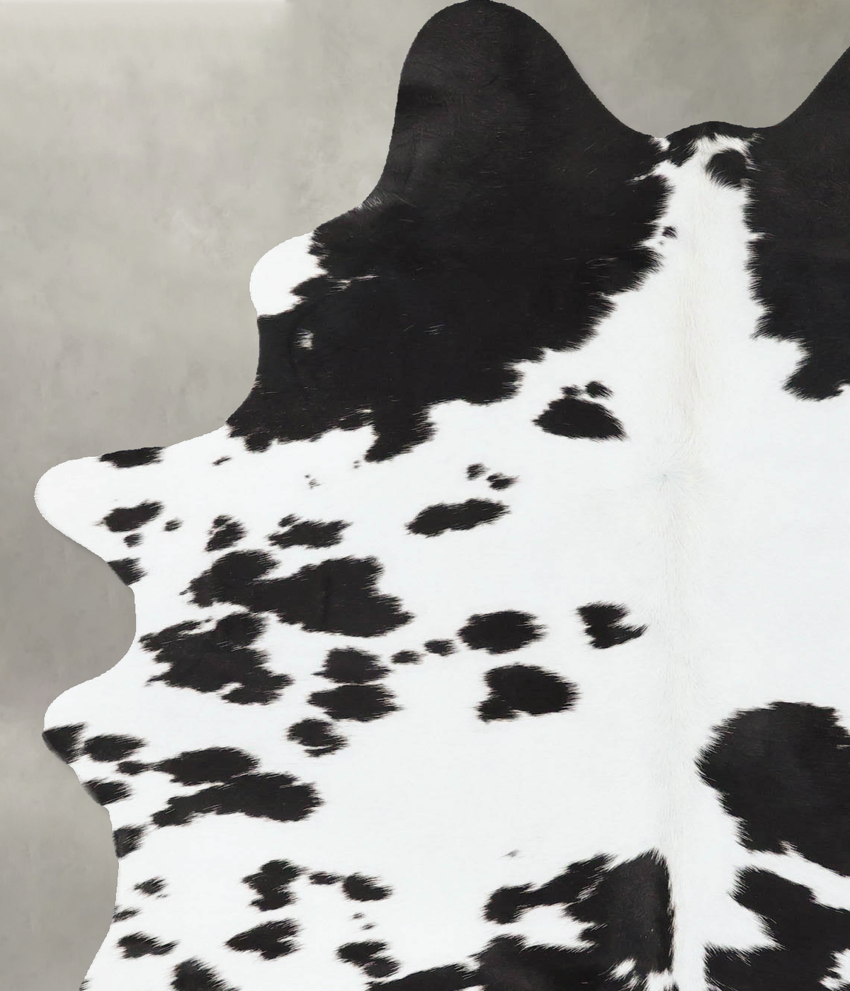 Black and White Large Brazilian Cowhide Rug 7'0"H x 4'5"W #B25184 by Hudson Hides