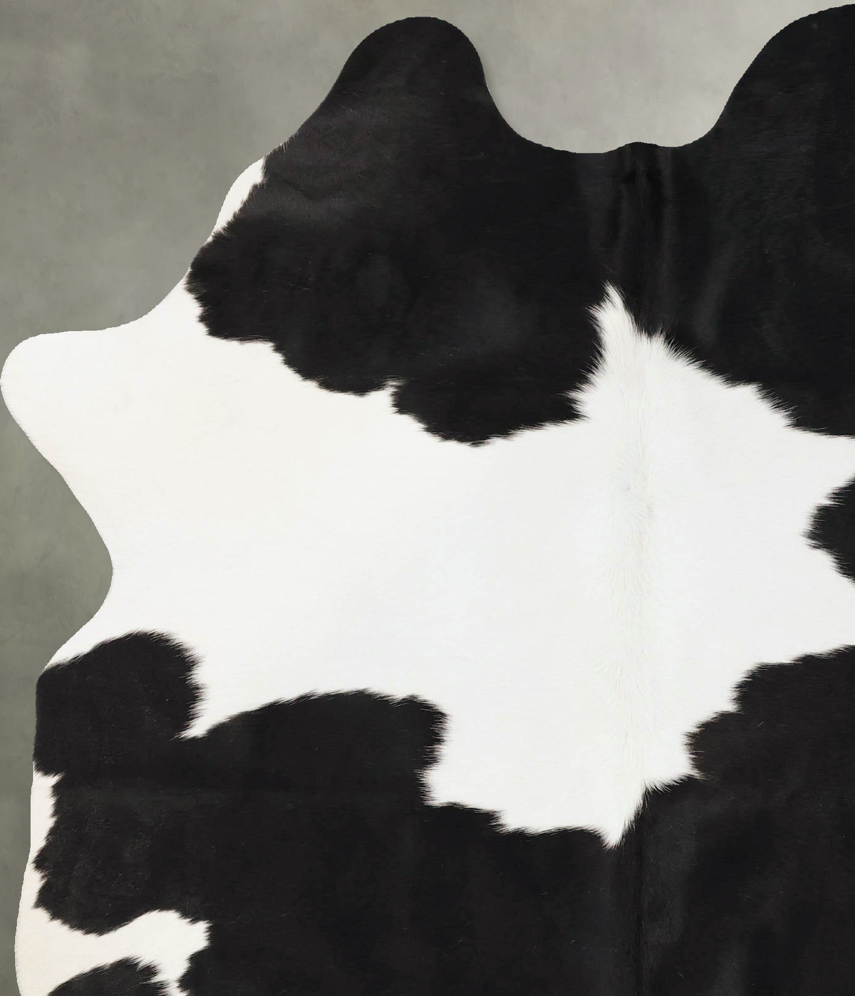 Black and White Large Brazilian Cowhide Rug 7'4"H x 5'5"W #B25185 by Hudson Hides