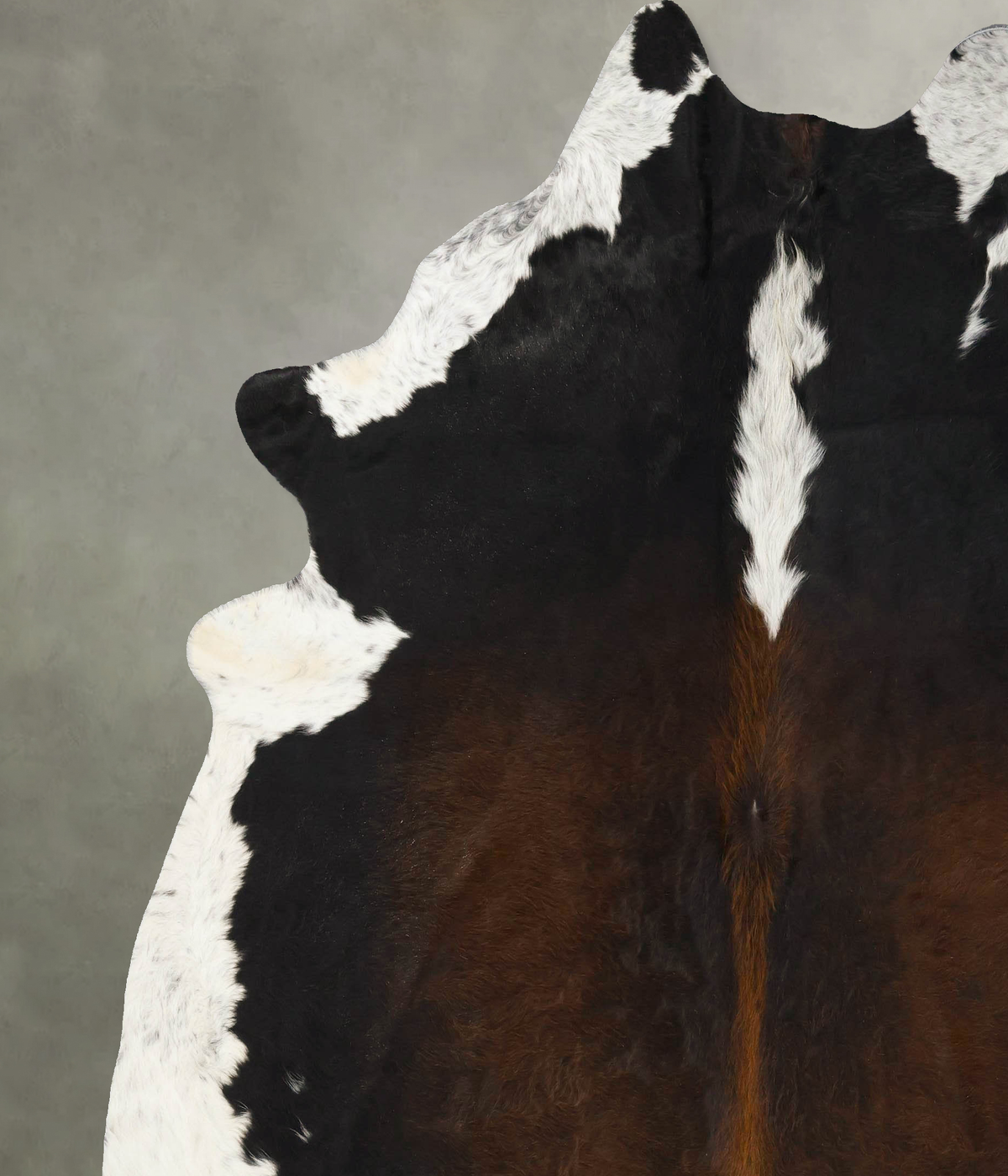 Chocolate and White XX-Large Brazilian Cowhide Rug 8'2"H x 7'3"W #B25188 by Hudson Hides