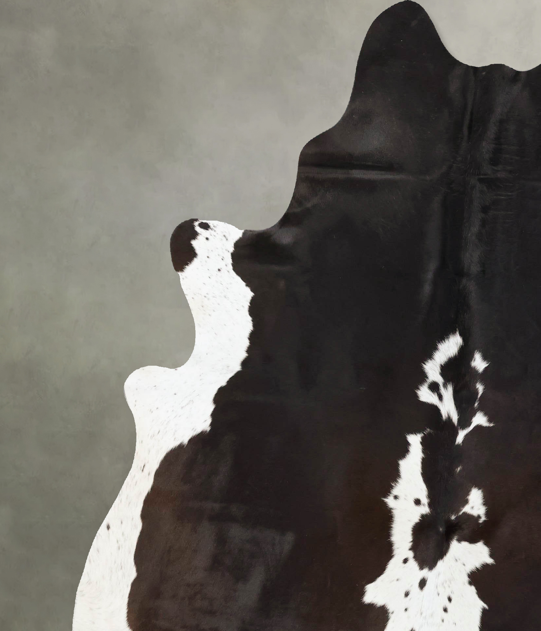 Chocolate and White Cowhide Rug #B25192