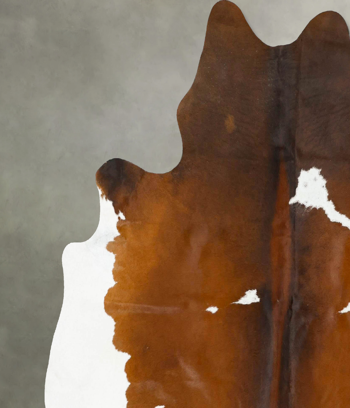 Chocolate and White X-Large Brazilian Cowhide Rug 6'9"H x 6'6"W #B25207 by Hudson Hides