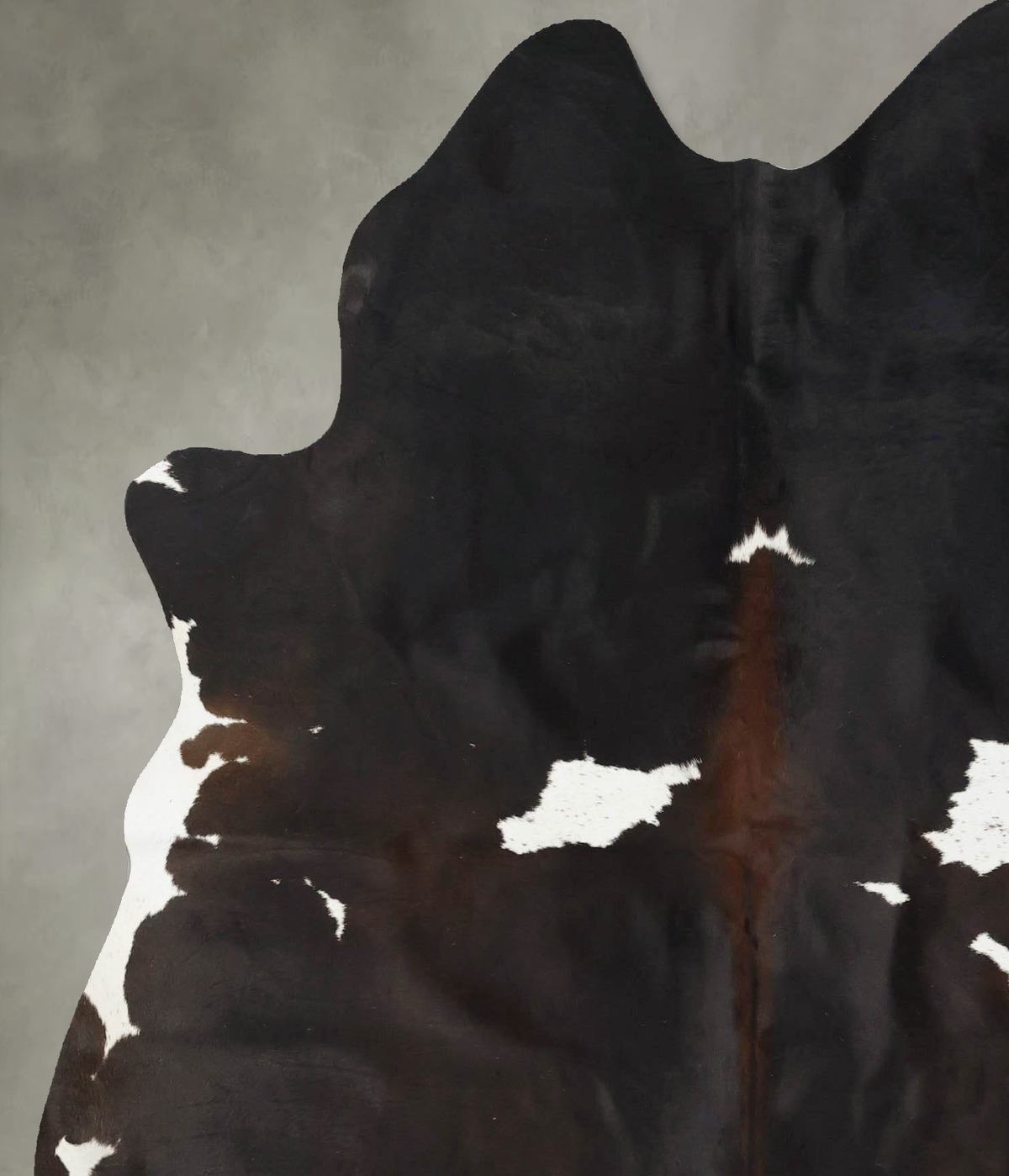 Chocolate and White X-Large Brazilian Cowhide Rug 6'11"H x 5'10"W #B25208 by Hudson Hides