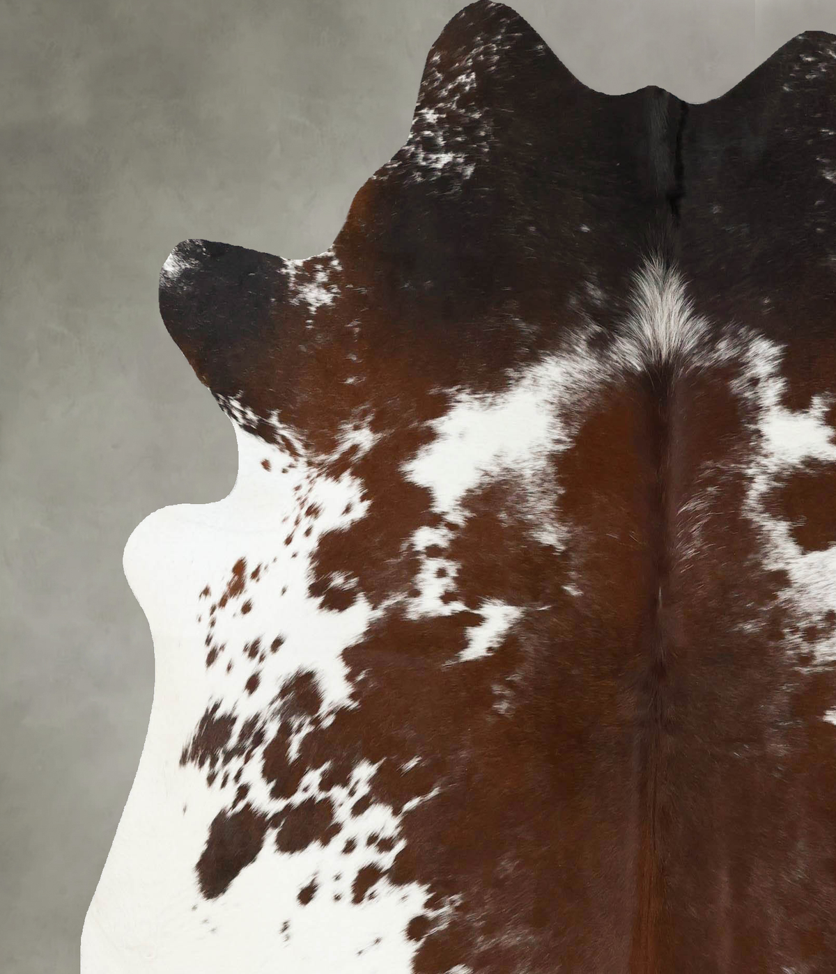 Chocolate and White X-Large Brazilian Cowhide Rug 6'7"H x 6'3"W #B25220 by Hudson Hides