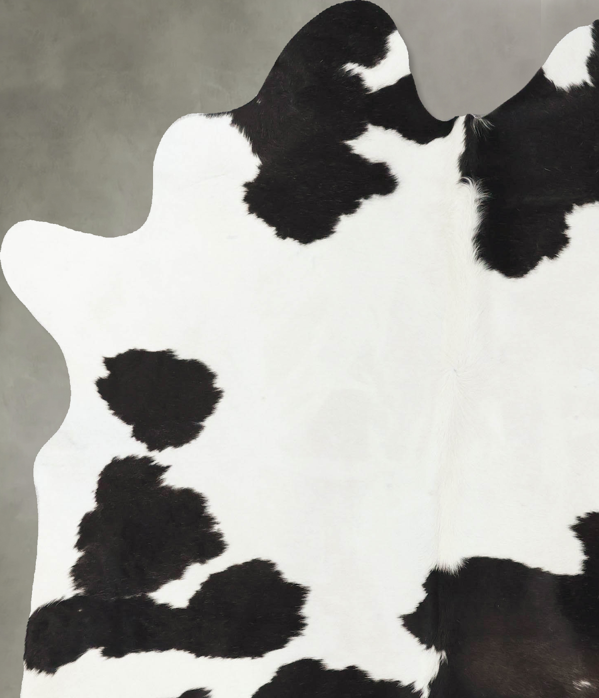 Black and White Large Brazilian Cowhide Rug 6'11"H x 5'9"W #B25226 by Hudson Hides