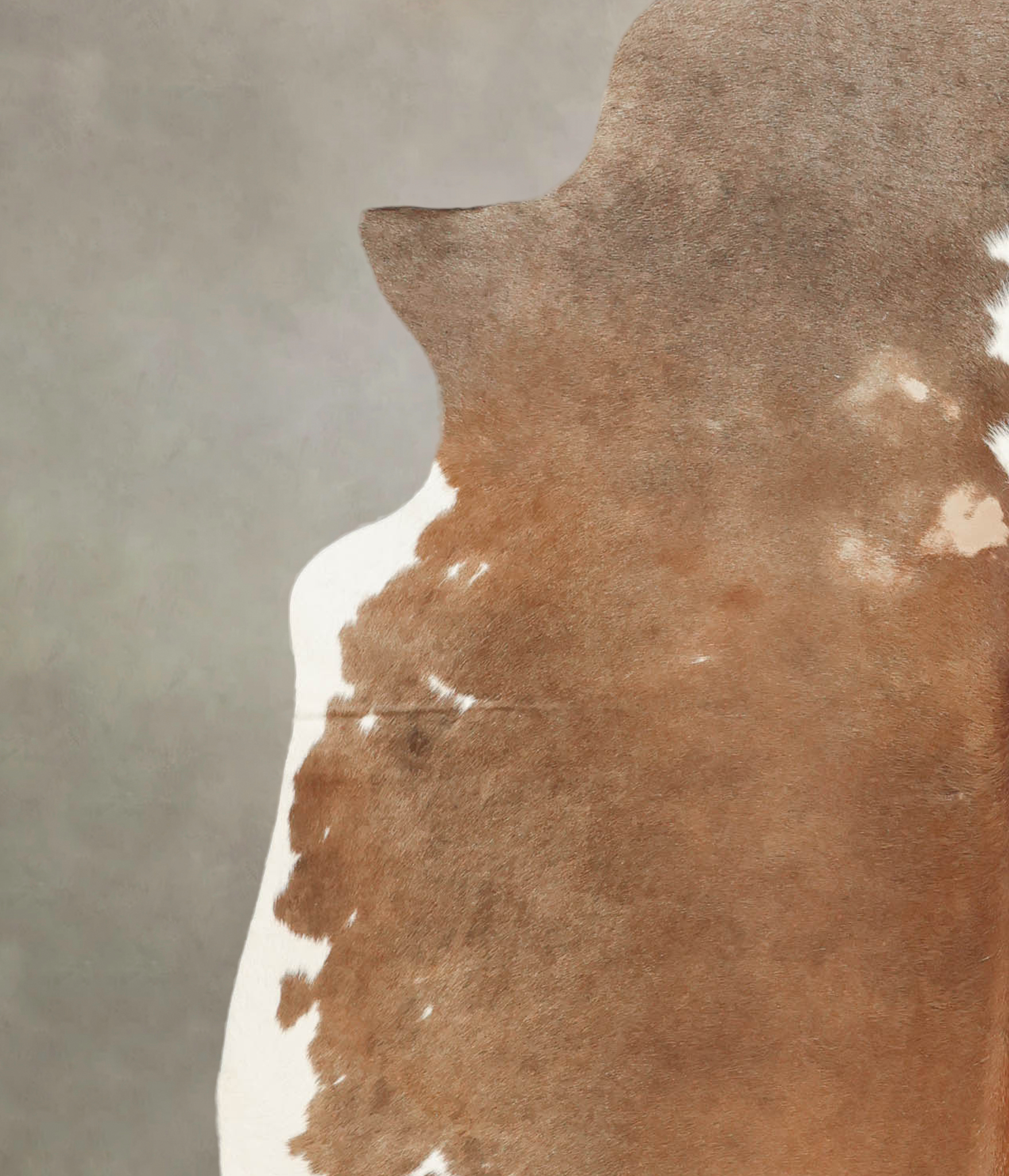 Brown and White Cowhide Rug #B2523