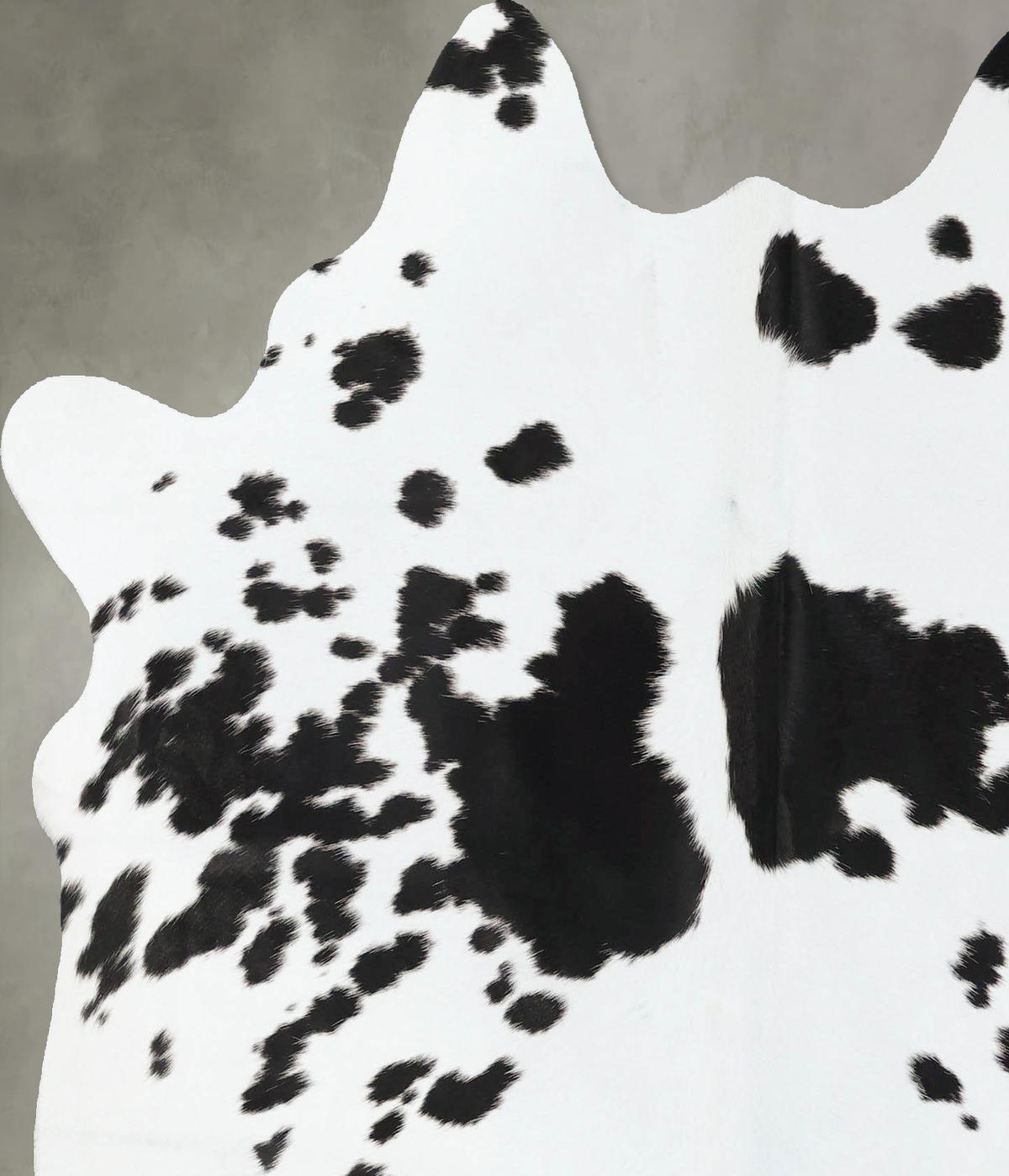 Black and White Large Brazilian Cowhide Rug 6'0"H x 5'7"W #B25234 by Hudson Hides