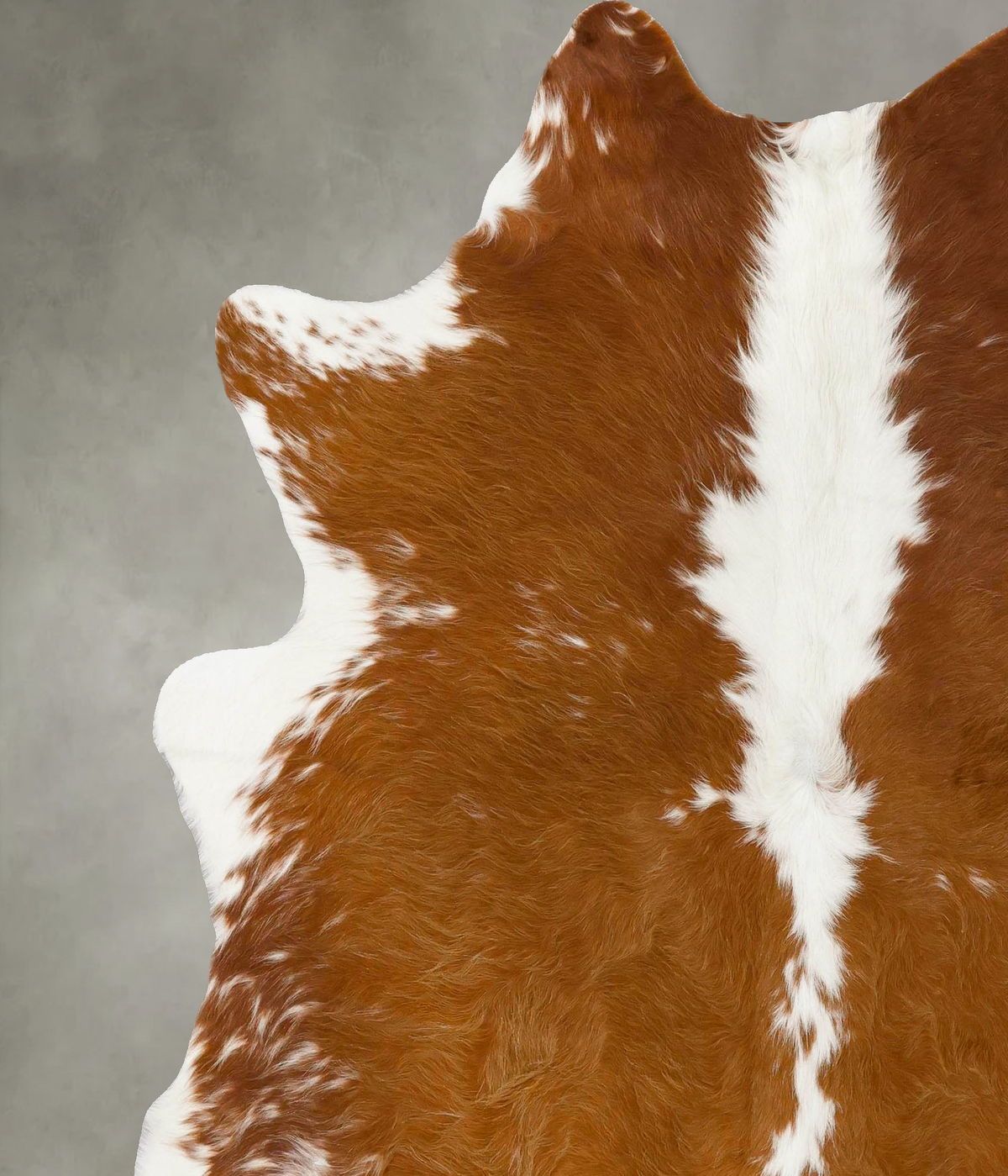 Brown and White X-Large Brazilian Cowhide Rug 7'4"H x 6'4"W #B25239 by Hudson Hides