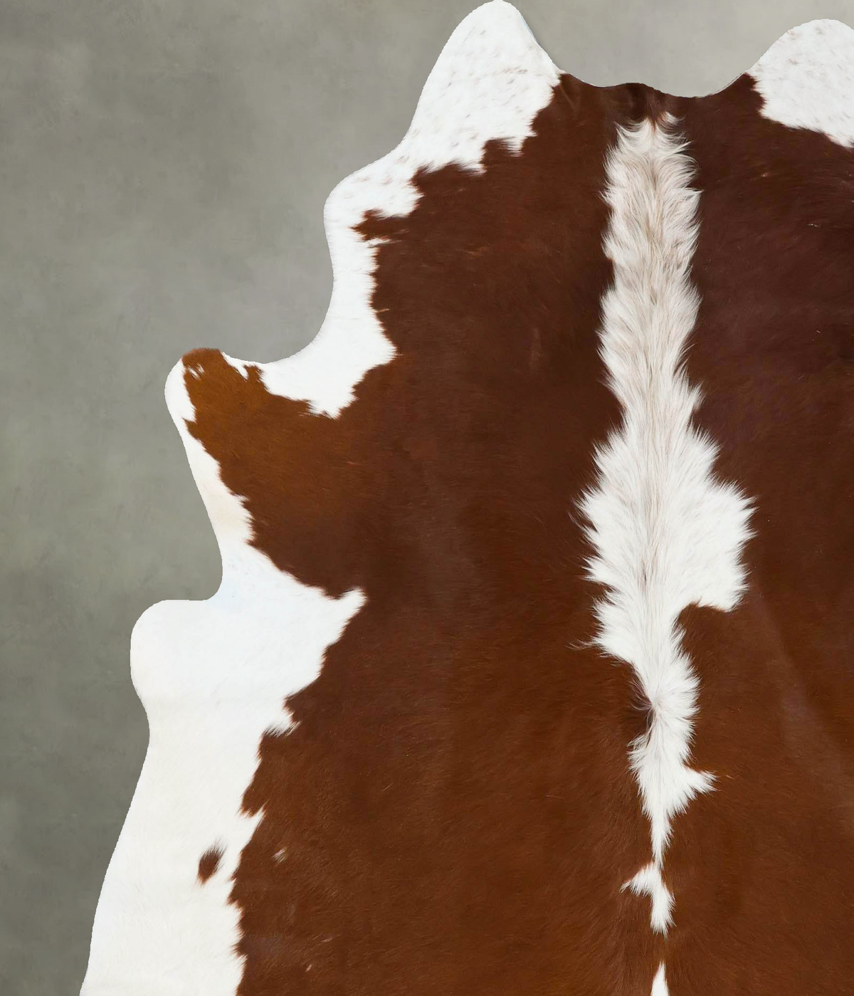 Brown and White X-Large Brazilian Cowhide Rug 6'11"H x 6'3"W #B25241 by Hudson Hides